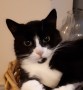 Amy